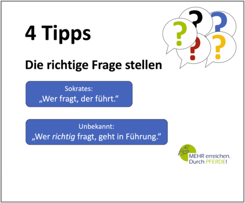 4 Tipps richtige Frage stellen Mehr erreichen durch Pferde