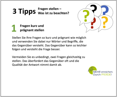 3 Tipps Frage stellen Mehr erreichen durch Pferde Blog 01