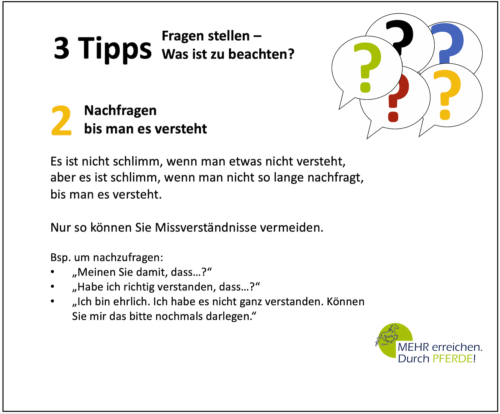 3 Tipps Frage stellen Mehr erreichen durch Pferde Blog 02