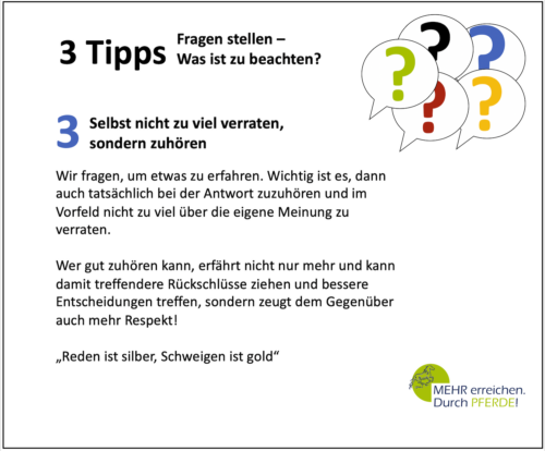 3 Tipps Frage stellen Mehr erreichen durch Pferde Blog 03